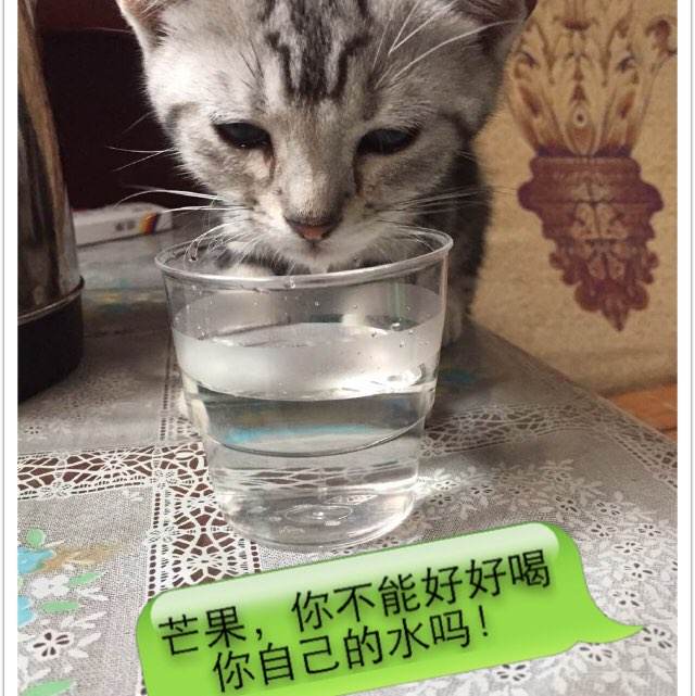 硕士学历证书编号